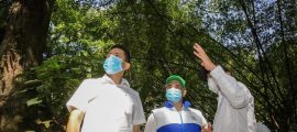 Jardín Botánico volvió a florecer