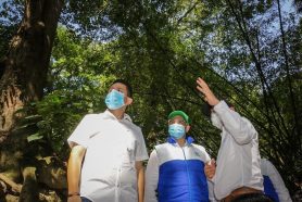 Jardín Botánico volvió a florecer